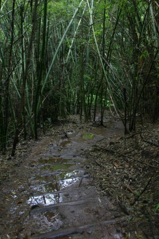 kalna-pyteka-v-bambuk.thai